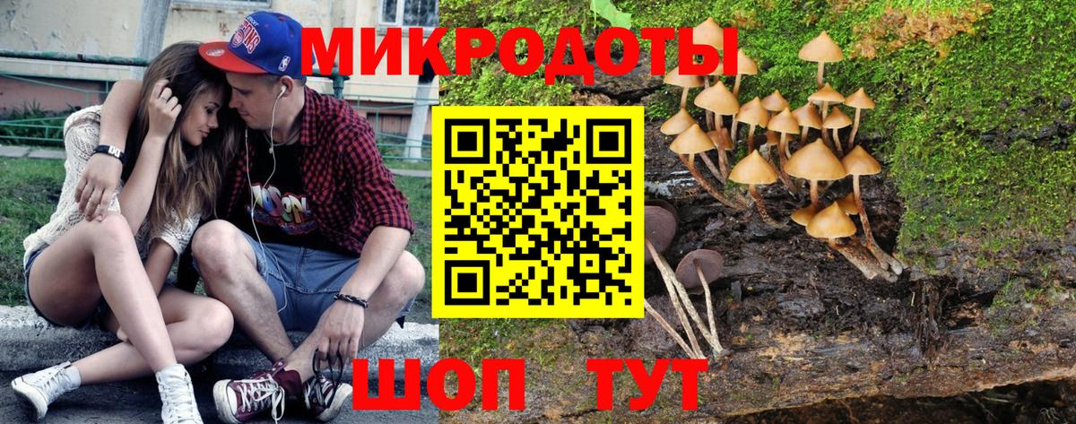 Галлюциногенные грибы Magic Shrooms Россия